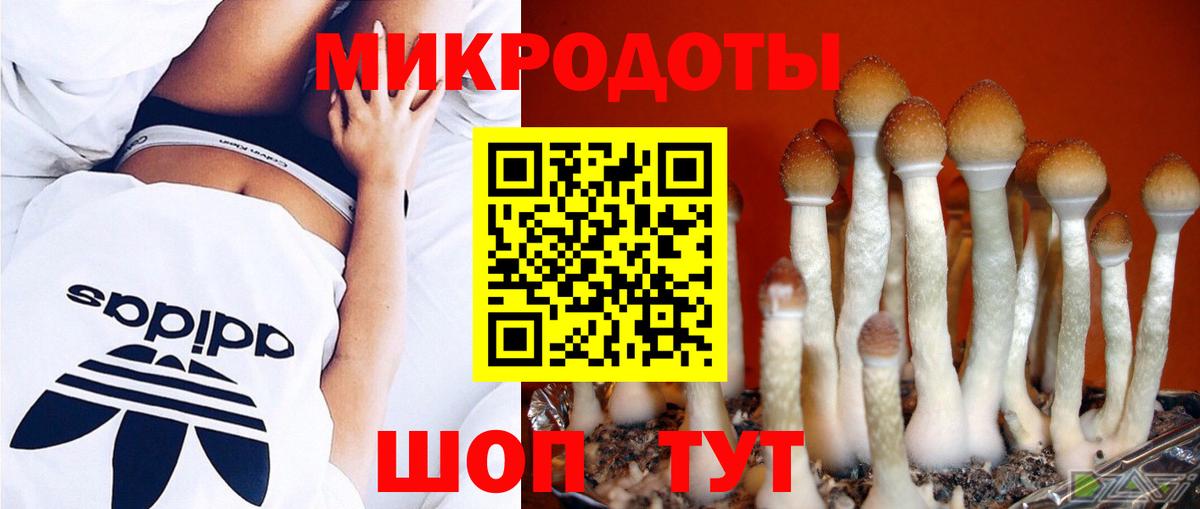 Псилоцибиновые грибы ЛСД  Вход с VPN  Брянск 